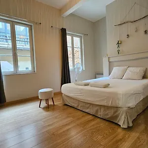  Appartement Le Patio St Etienne - Hypercentre - Parking